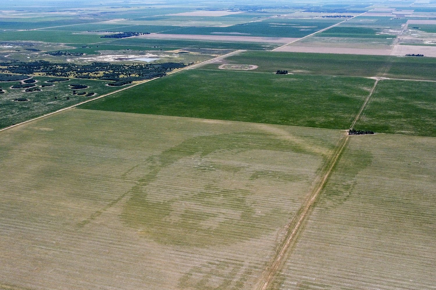  A cornfield features an image of Argentine soccer player Lionel Messi in Cordoba, Argentina, Jan. 4, 2023, on the day it was created. According to the farmer, Pablo Luccero, his planter machine has the technology to imprint images fed to it electron