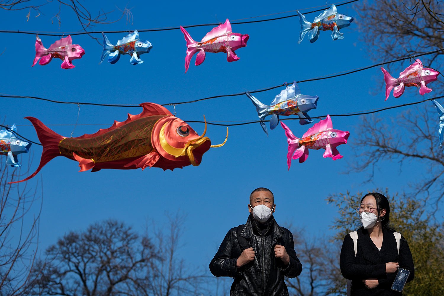 People wearing face masks walk under fish shaped lanterns on display in a green space in Beijing, Monday, Feb. 20, 2023. (AP Photo/Andy Wong) 