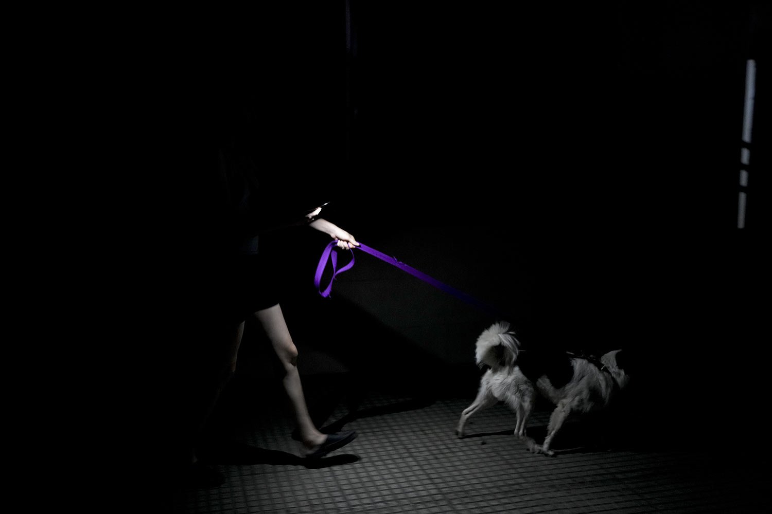  A resident walks her dog during a power outage and heat wave in Buenos Aires, Argentina, March 14, 2023. (AP Photo/Natacha Pisarenko) 
