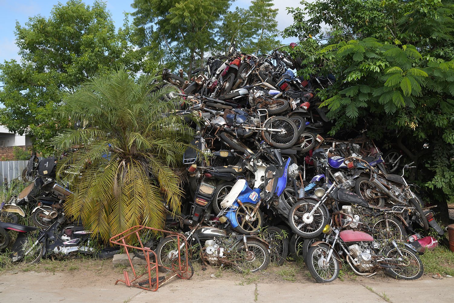  Motorcycles seized by police for being allegedly stolen lay in a pile at the municipal police in Asuncion, Paraguay, Monday, March 13, 2023. (AP Photo/Jorge Saenz) 