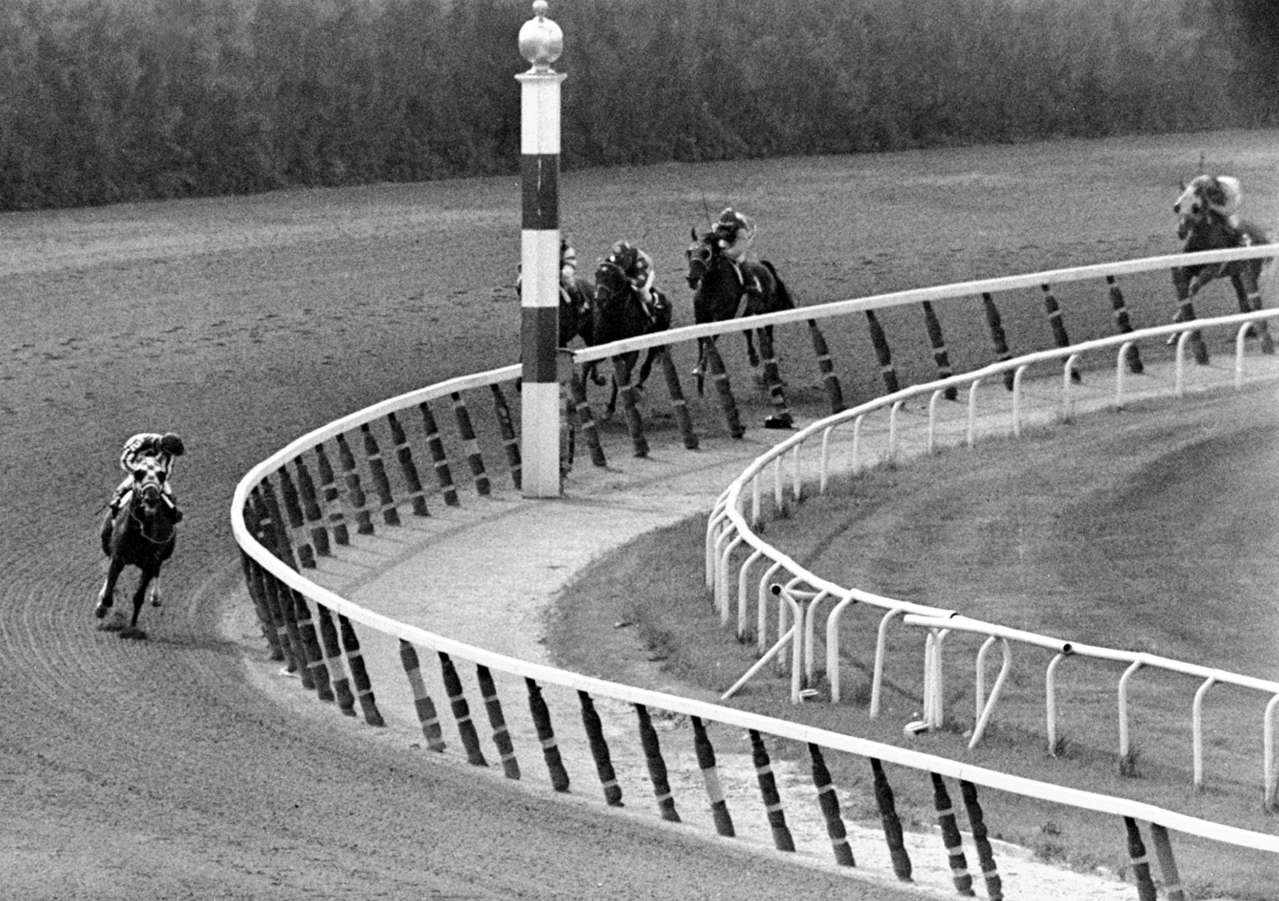  Jockey Ron Turcotte, aboard Secretariat, turns for a look at the field many lengths behind, June 9, 1973, as they make the final turn on his way to winning the Belmont Stakes and the 1973 Triple Crown. (AP Photo/Dave Pickoff) 