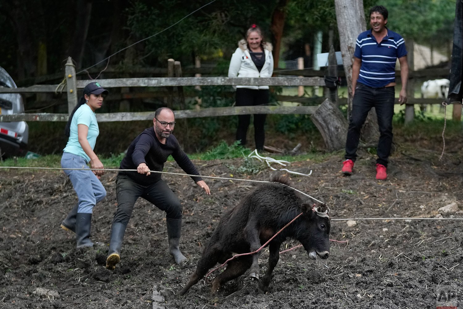 Colombia Bullfights