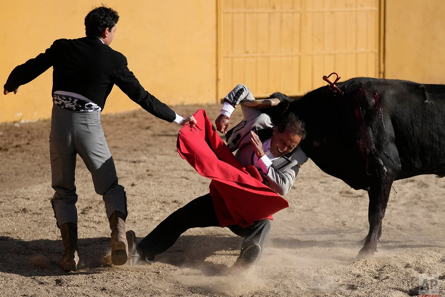 Colombia Bullfights