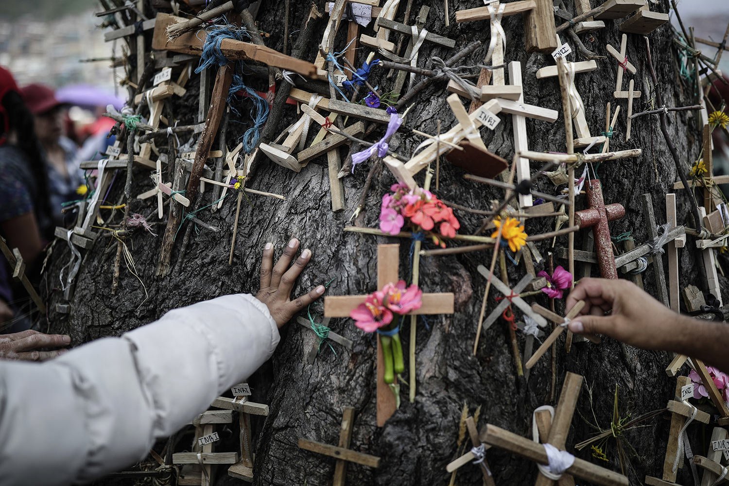  Faithful place crosses on the trunk of the Tree of Life during a Good Friday procession in Bogota, Colombia, April 7, 2023. (AP Photo/Ivan Valencia) 