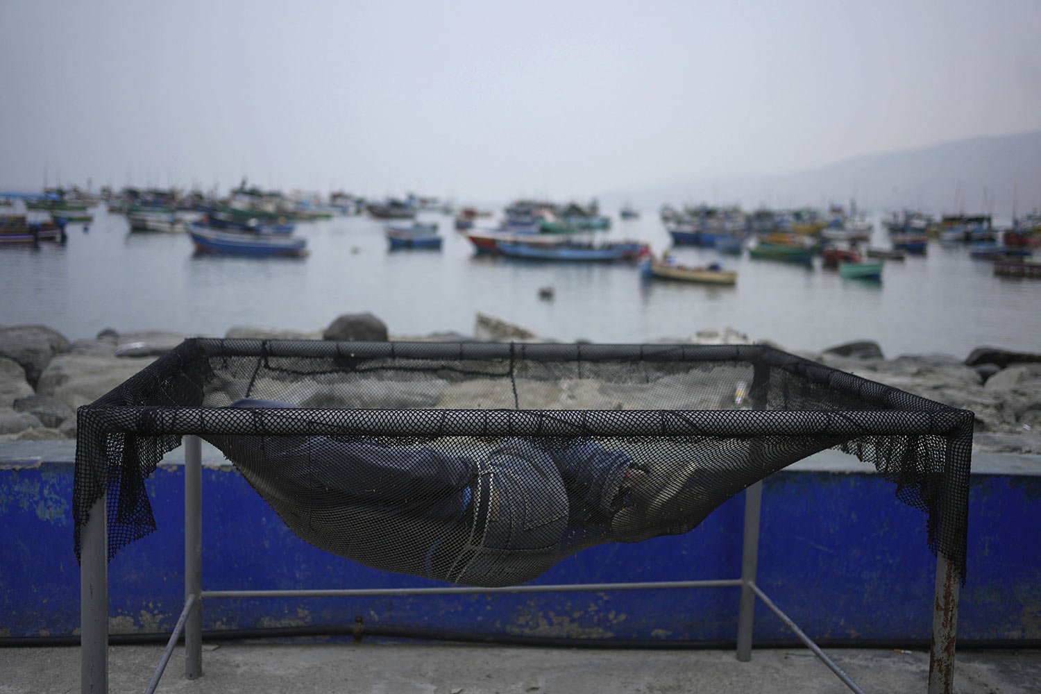  A fisherman sleeps in a net used to wash fish at the harbor of Ancon, Peru, early April 11, 2023. (AP Photo/Martin Mejia) 