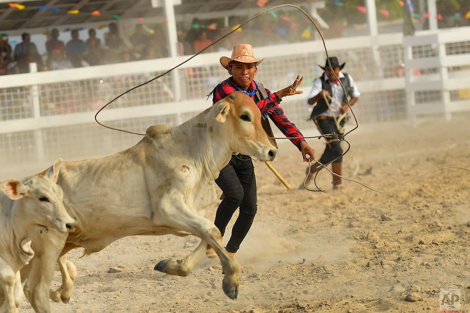 Guyana Rodeo Festival