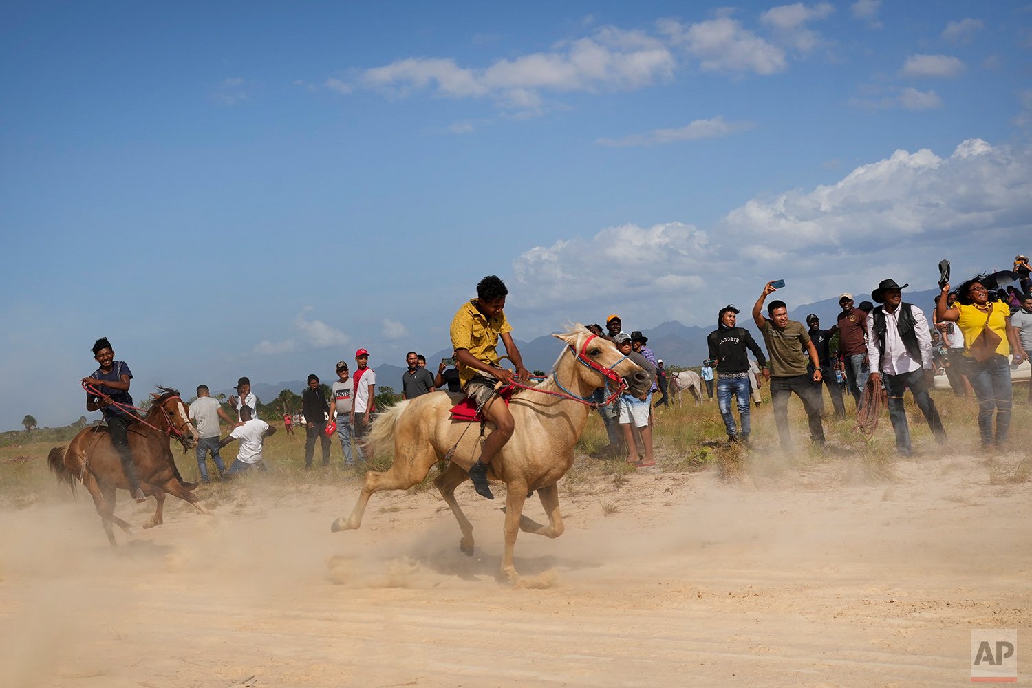 Guyana Rodeo Festival