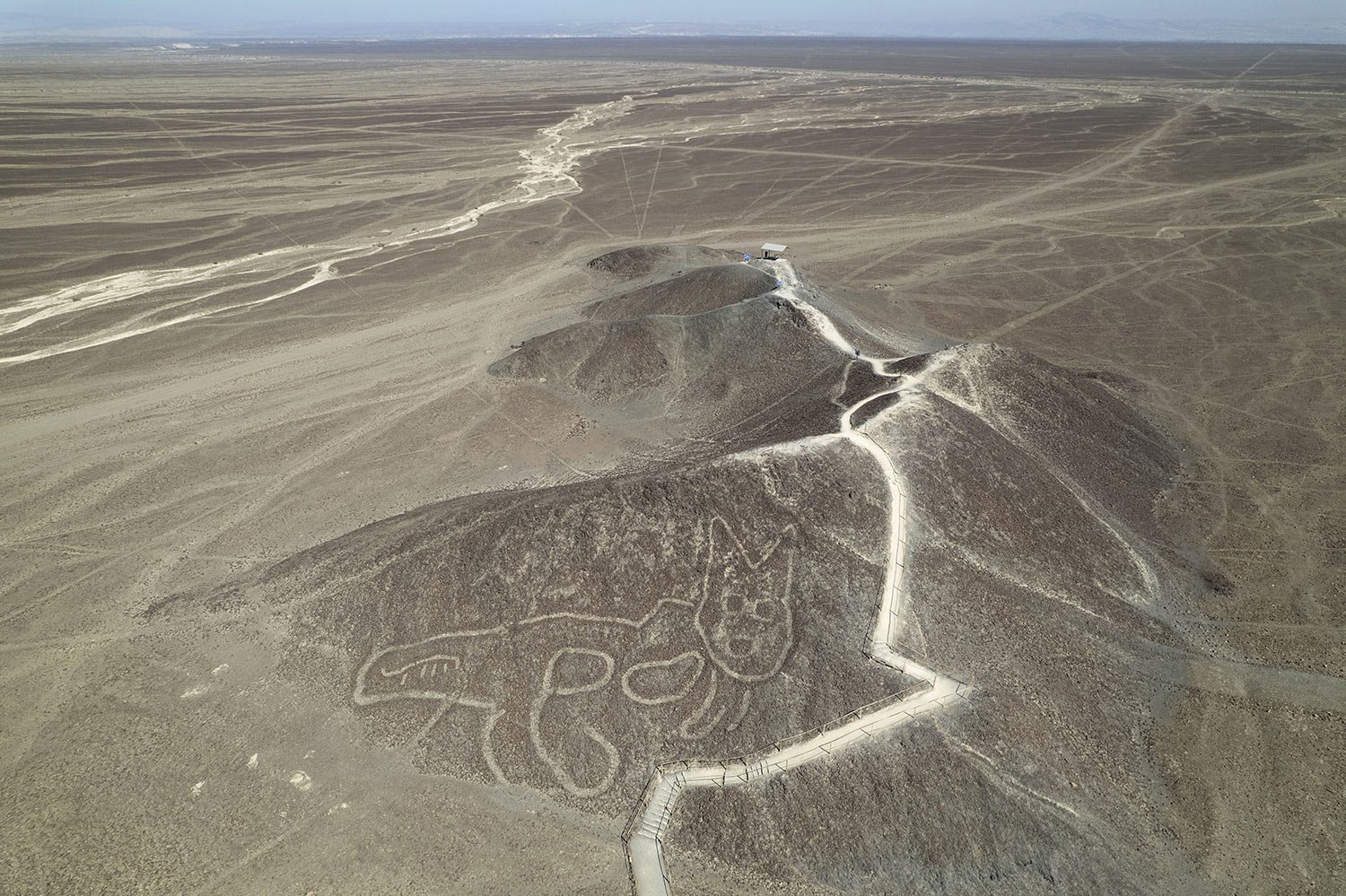 A cat-like Nazca Line geoglyph is seen from above in Nazca, Peru, May 17, 2023. (AP Photo/Martin Mejia) 