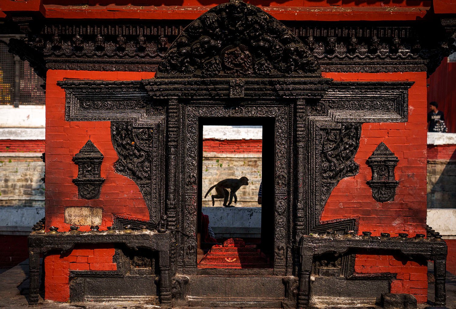  A monkey runs past a traditional wooden craft at Pashupatinath temple premises in Kathmandu, Nepal, Tuesday, May 30, 2023. (AP Photo/Niranjan Shrestha) 