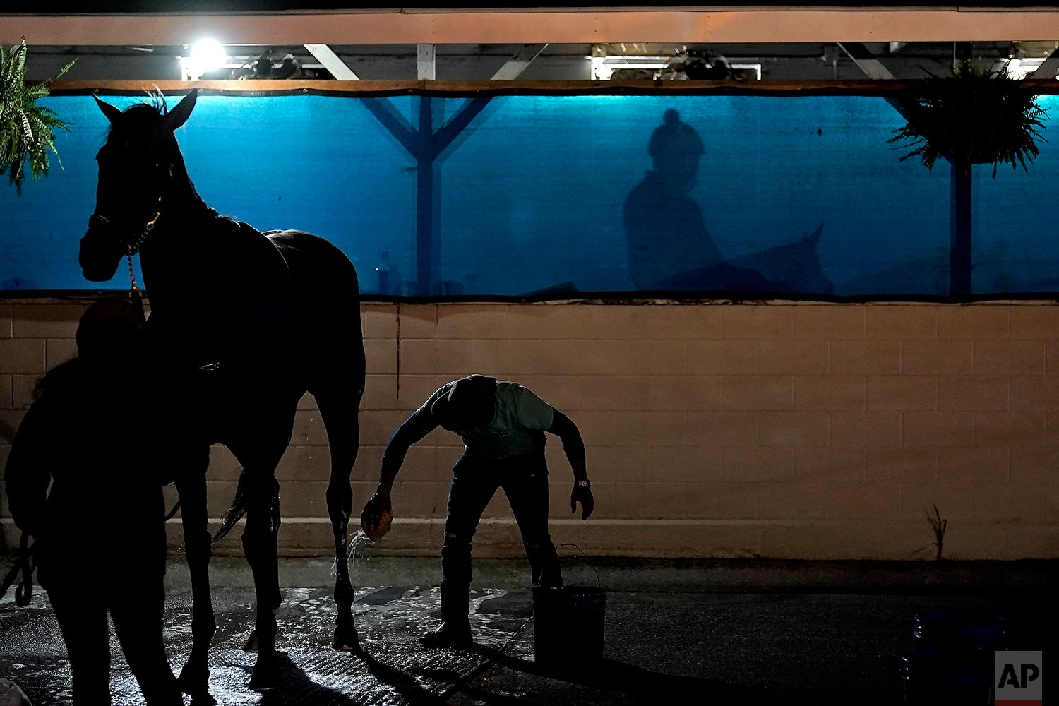 Kentucky Derby Horse Racing