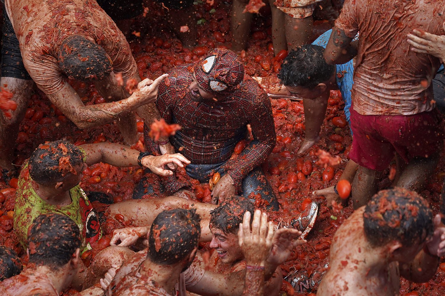  A participant wearing a Spiderman costume sits in a pool of overripe tomatoes and red pulp, during the annual tomato street fight in Bunol, Spain, Wednesday, Aug. 30, 2023. (AP Photo/Alberto Saiz) 