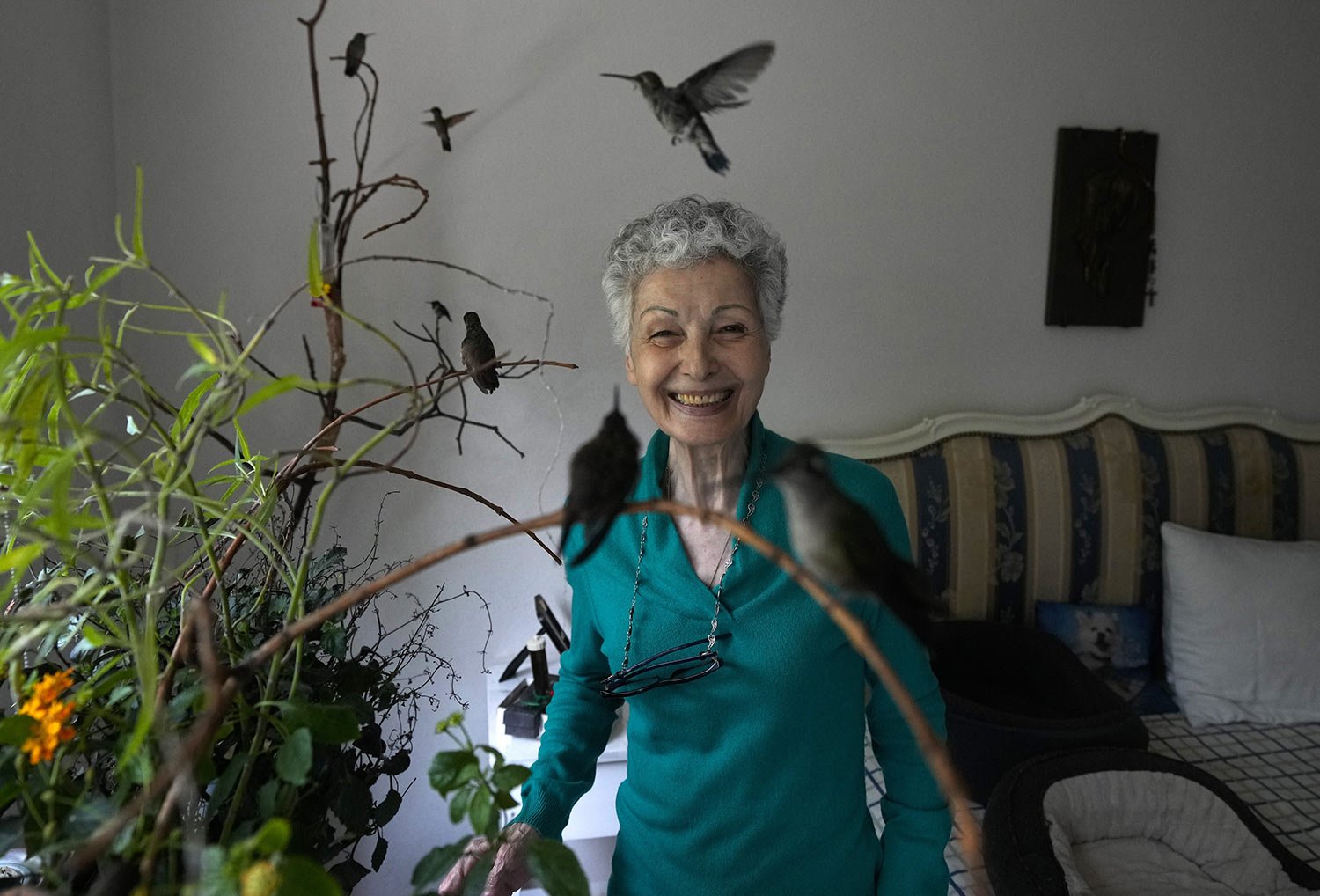  Catia Lattouf poses for a photo with hummingbirds in her care, at her apartment-turned makeshift clinic for the tiny birds in Mexico City, Aug. 7, 2023. Lattouf who has some 60 hummingbirds under her care, has become a reference source for bird love