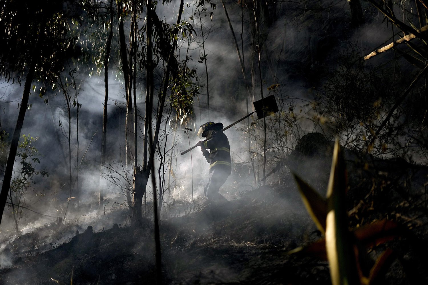  A firefighter walks through the smoke of a mountain farmland  fire in Soacha near Bogota, Colombia, Aug. 14, 2023. (AP Photo/Fernando Vergara) 