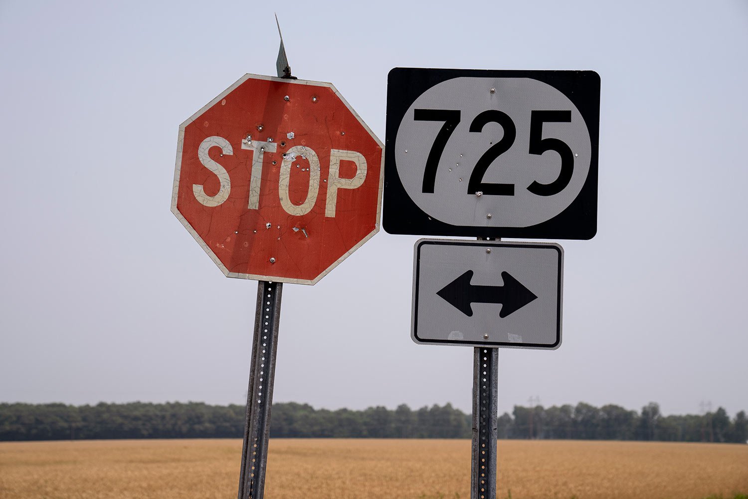  Road signs littered with bullet holes stand along a rural road in West Paducah, Ky., Sunday, June 4, 2023. (AP Photo/David Goldman)  