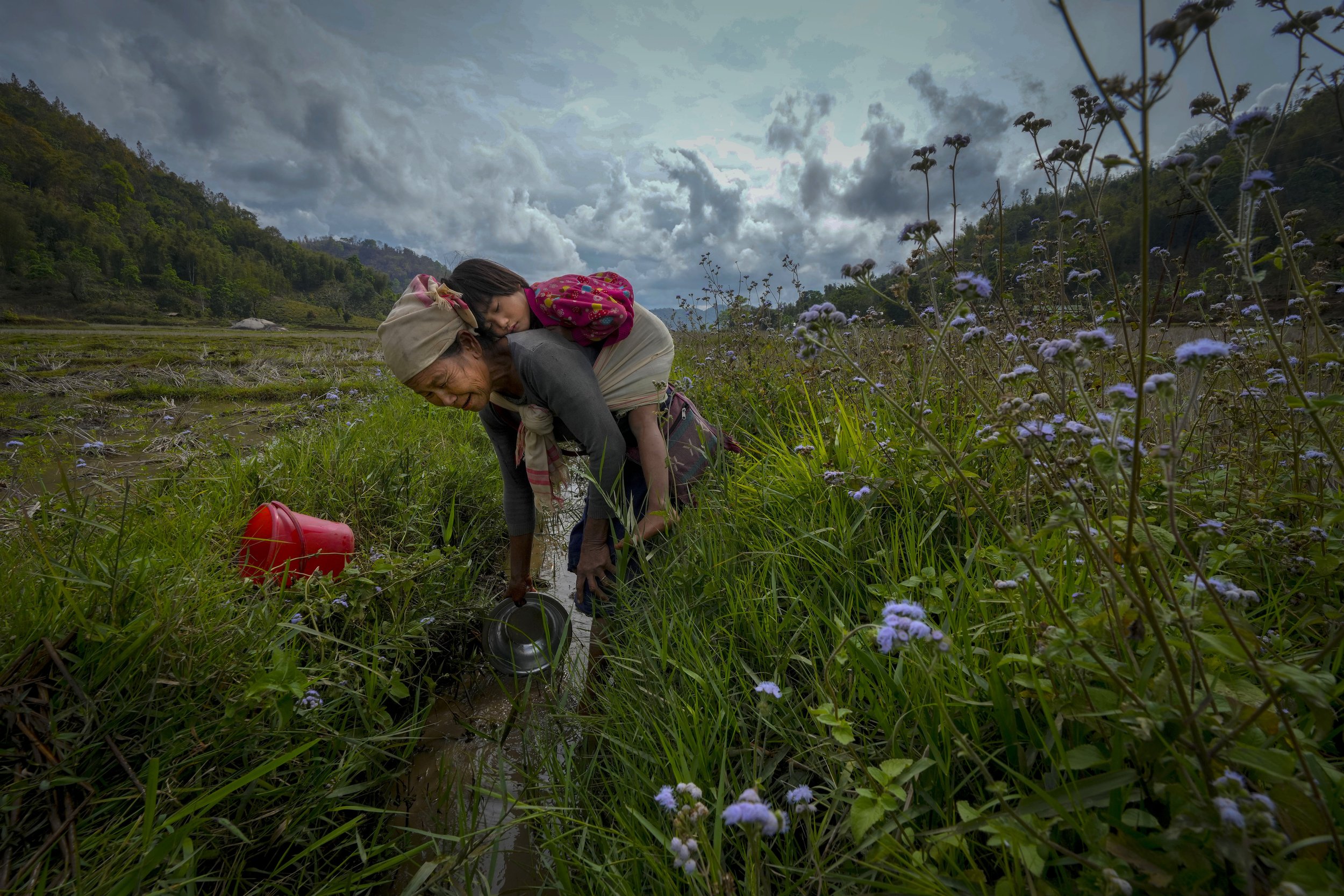  A tribal woman tries to catch small fish as her granddaughter dozes on her back at a paddy field on the outskirts of Guwahati in India’s Assam state on March 20, 2023. (AP Photo/Anupam Nath) 