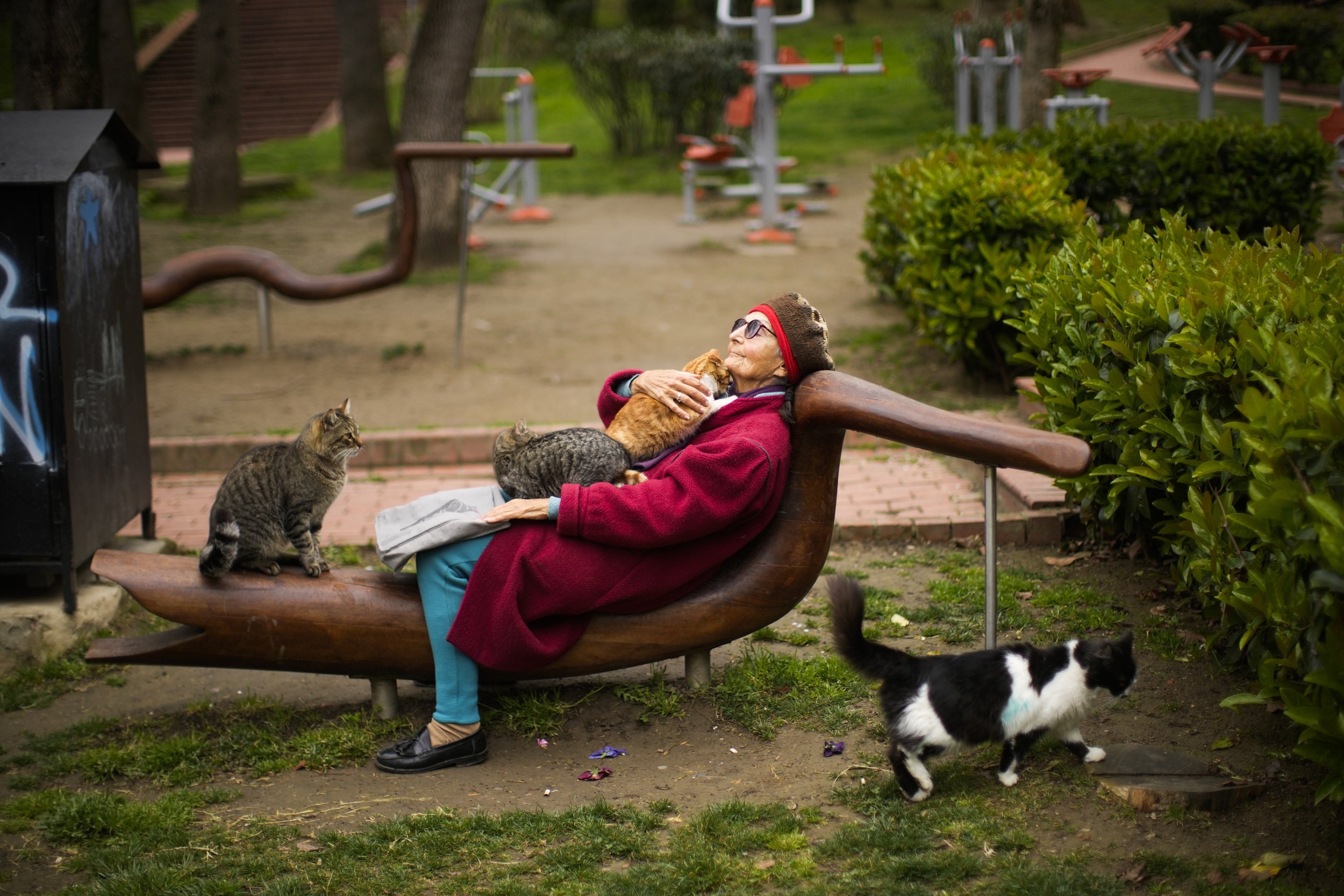  Tiraje Kestelli lies on a seat in the company of some of the many cats she cares for at Macka park in Istanbul, Turkey, on March 23, 2023. (AP Photo/Francisco Seco) 
