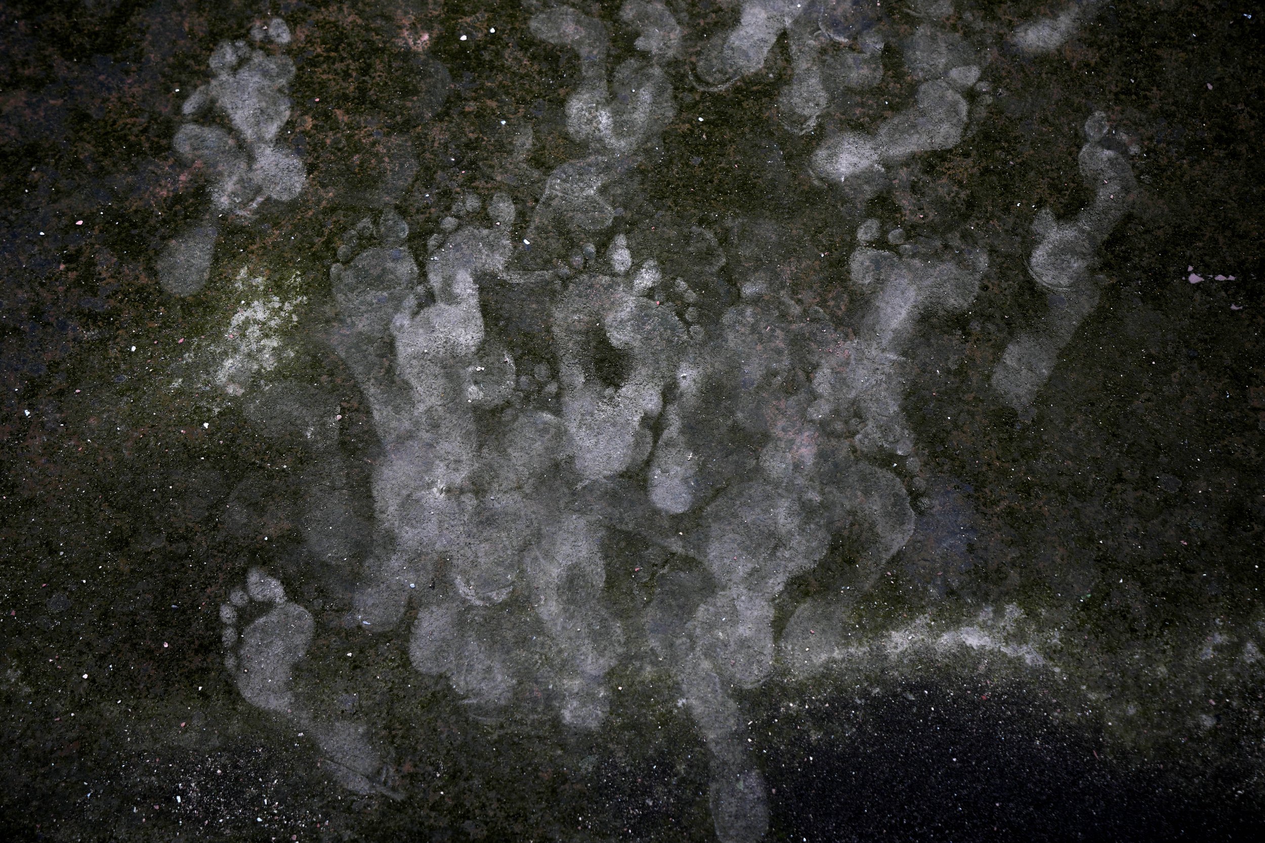  People’s footprints are seen on the moss-covered roof of the Jama Mosque during Eid al-Adha prayers in New Delhi, India, on June 29, 2023. (AP Photo/Manish Swarup) 