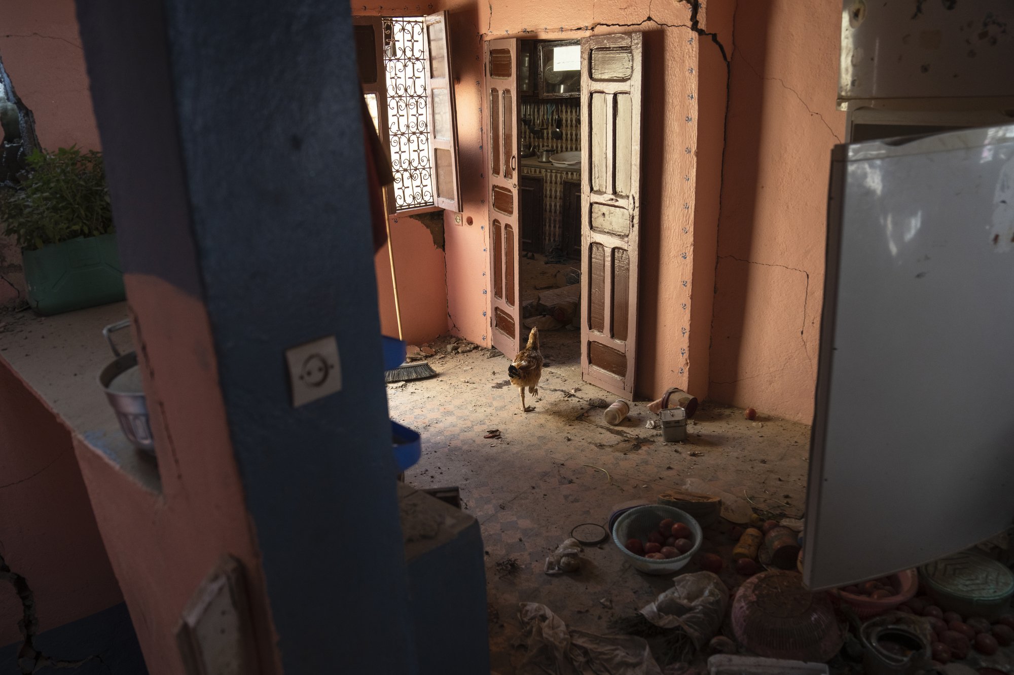  A chicken grazes inside a home that was damaged by an earthquake in the town of Imi N’tala, outside Marrakech, Morocco, on Sept. 12, 2023. (AP Photo/Mosa’ab Elshamy) 