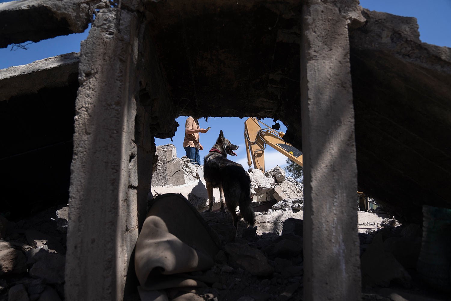  People and dogs dig through the rubble of a home that was damaged by an earthquake, in the village of Tafeghaghte, near Marrakech, Morocco, Monday, Sept. 11, 2023.  (AP Photo/Mosa'ab Elshamy) 