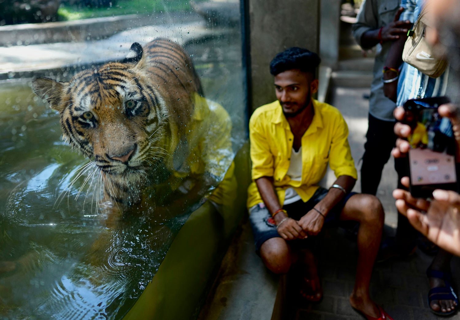  A man poses for a photo sitting outside the glass cage of a Bengal tiger at the national zoological garden in Colombo, Sri Lanka, Tuesday, June. 27, 2023. (AP Photo/Eranga Jayawardena) 