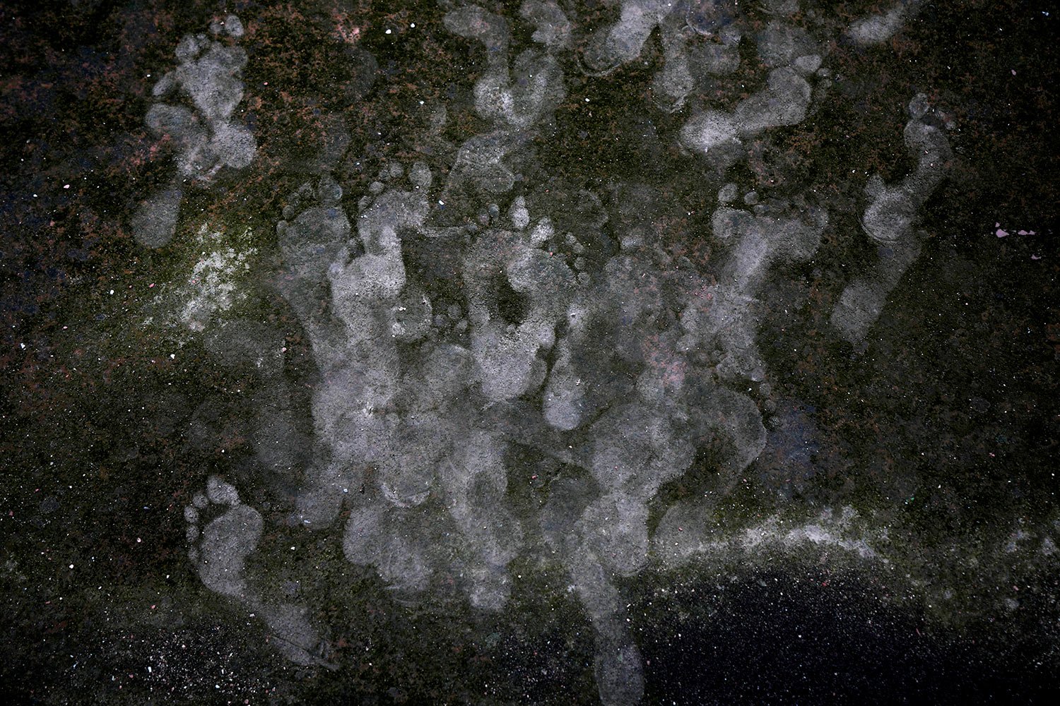  Footprints are seen on the moss ridden roof of Jama Masjid during Eid al-Adha prayers, in New Delhi, India, Thursday, June 29, 2023. (AP Photo/Manish Swarup) 
