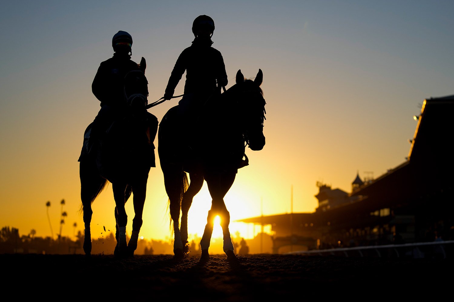  Horses leave the track after a morning workout ahead of the Breeders' Cup horse races Thursday, Nov. 2, 2023, in Arcadia, Calif. (AP Photo/Ashley Landis) 