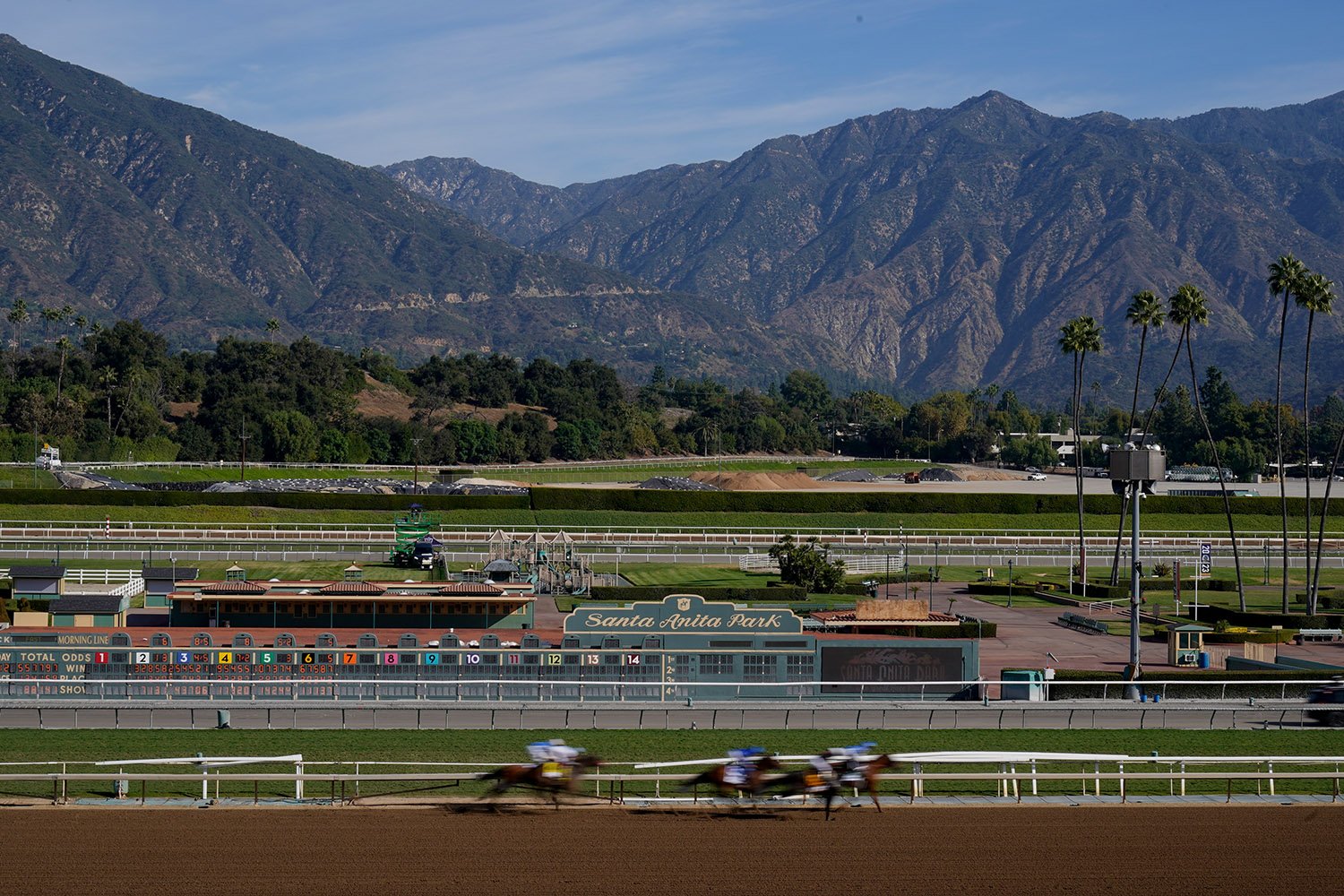  Horses and riders finish the first race during the second day of Breeder's Cup horse races Saturday, Nov. 4, 2023, at Santa Anita Park in Arcadia, Calif. The first race is not a Breeders' Cup Championship race. (AP Photo/Ashley Landis) 