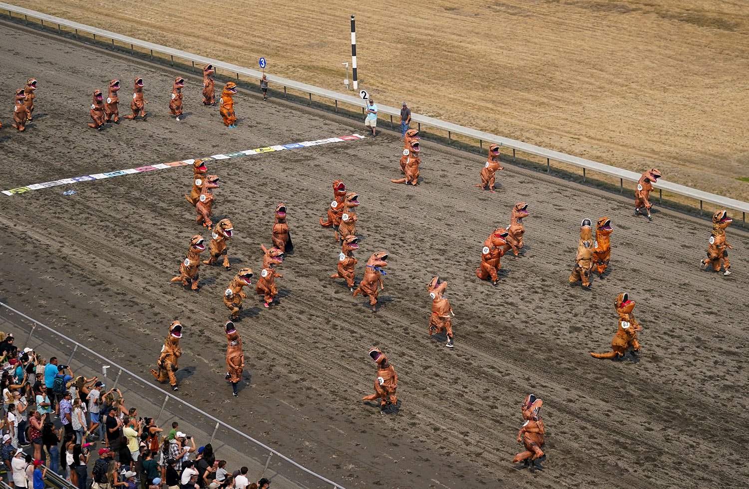  Participants in T-Rex costumes race in the first set of heats during the "T-Rex World Championship Races" at Emerald Downs, in Auburn, Wash., Aug. 20, 2023. (AP Photo/Lindsey Wasson) 