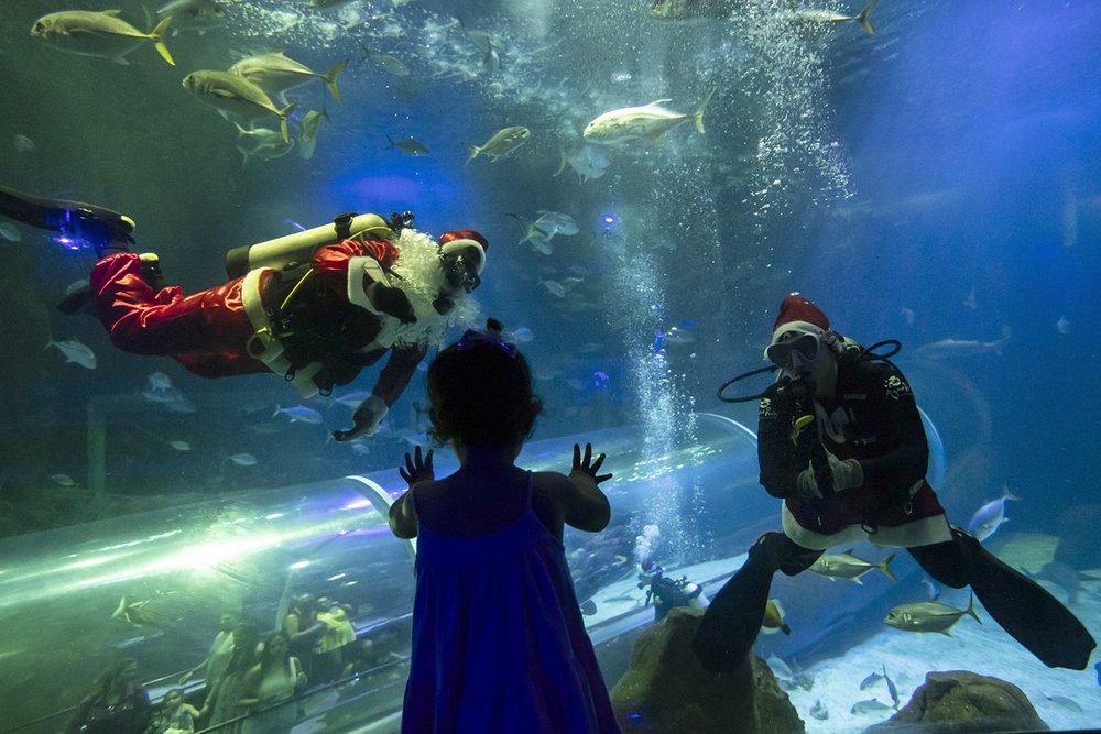  Divers dressed as Mother Christmas and Santa Claus wave from inside a shark tank to a young visitor at the AquaRio marine aquarium in Rio de Janeiro, Brazil, Dec. 23, 2023. (AP Photo/ Bruna Prado) 