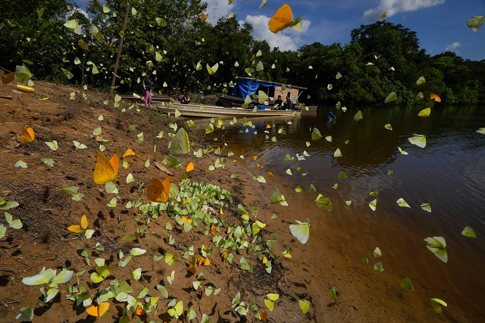 Brazil Indigenous Women Leaders