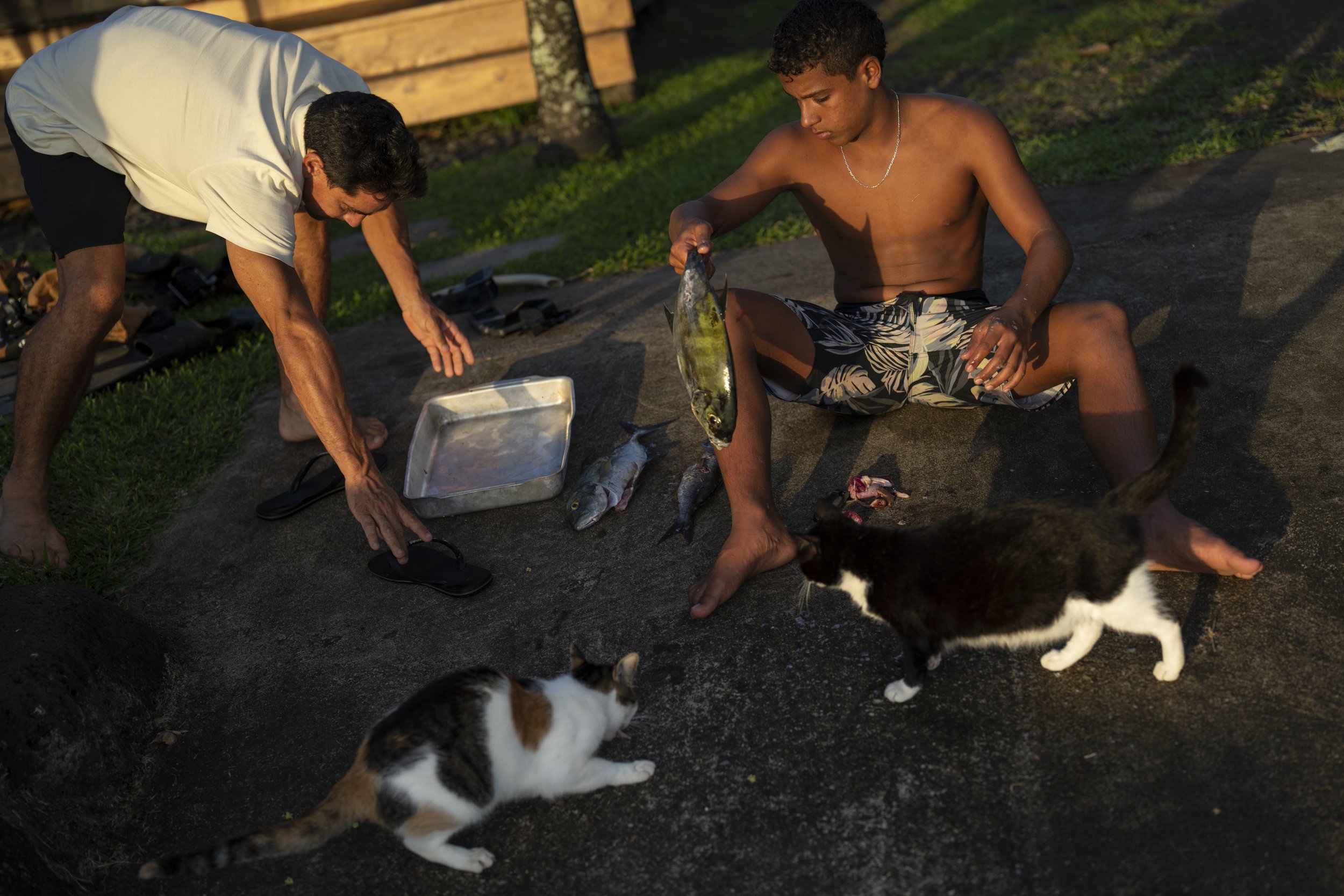  Naiki Vaast, right, prepares a fish he caught for dinner, feeding cats the leftovers in Vairao, Tahiti, French Polynesia, Wednesday, Jan. 17, 2024. (AP Photo/Daniel Cole) 