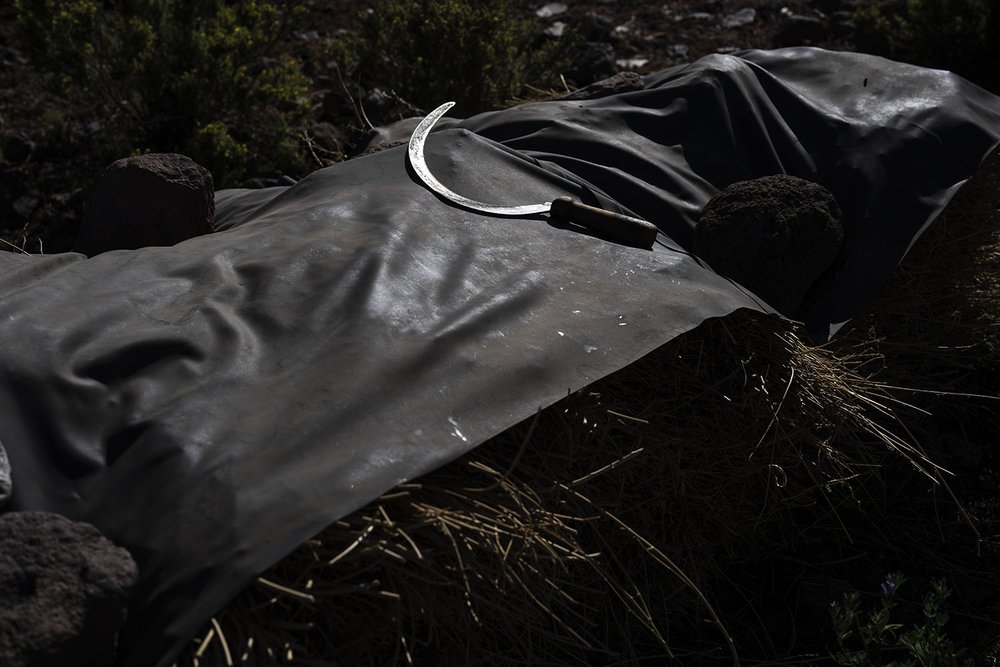 A farmer's sickle lies on a tarp during a break from harvesting corn and beans at a field near Peine, Chile, April 21, 2023.  