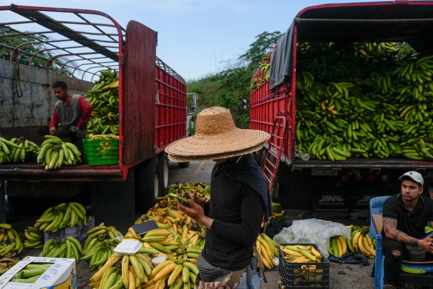  Bananas are for sale at the Merca Panama wholesale market in Panama City, April 30, 2024. (AP Photo/Matias Delacroix) 