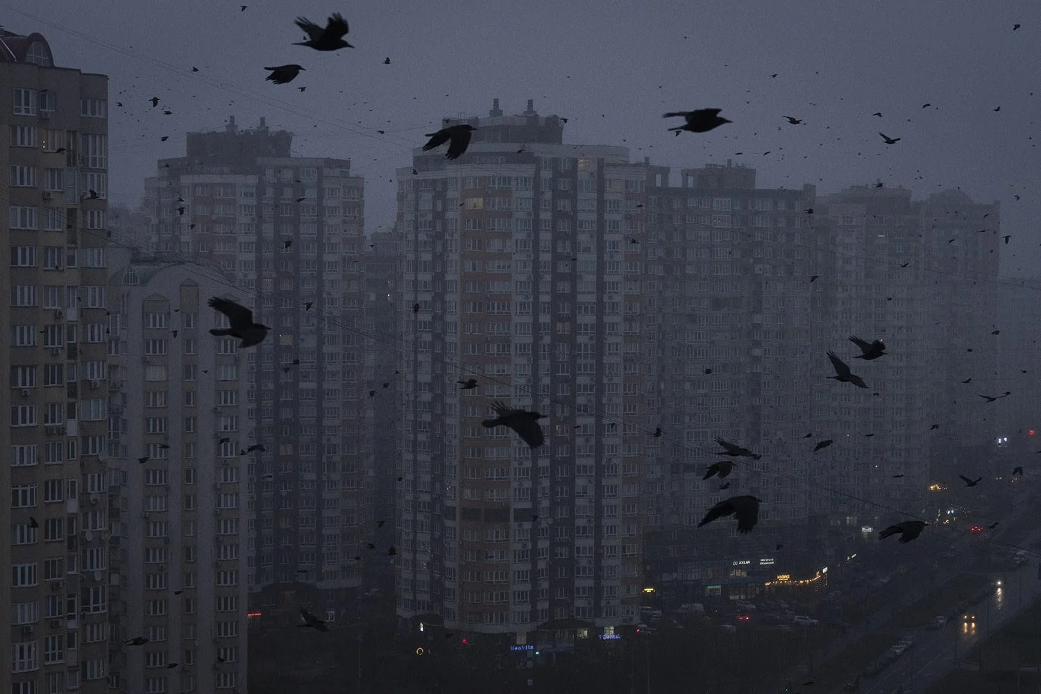  Crows fly above multi-storey apartment buildings during a blackout in Kyiv, Ukraine, Friday Nov. 29, 2024. (AP Photo/Efrem Lukatsky) 
