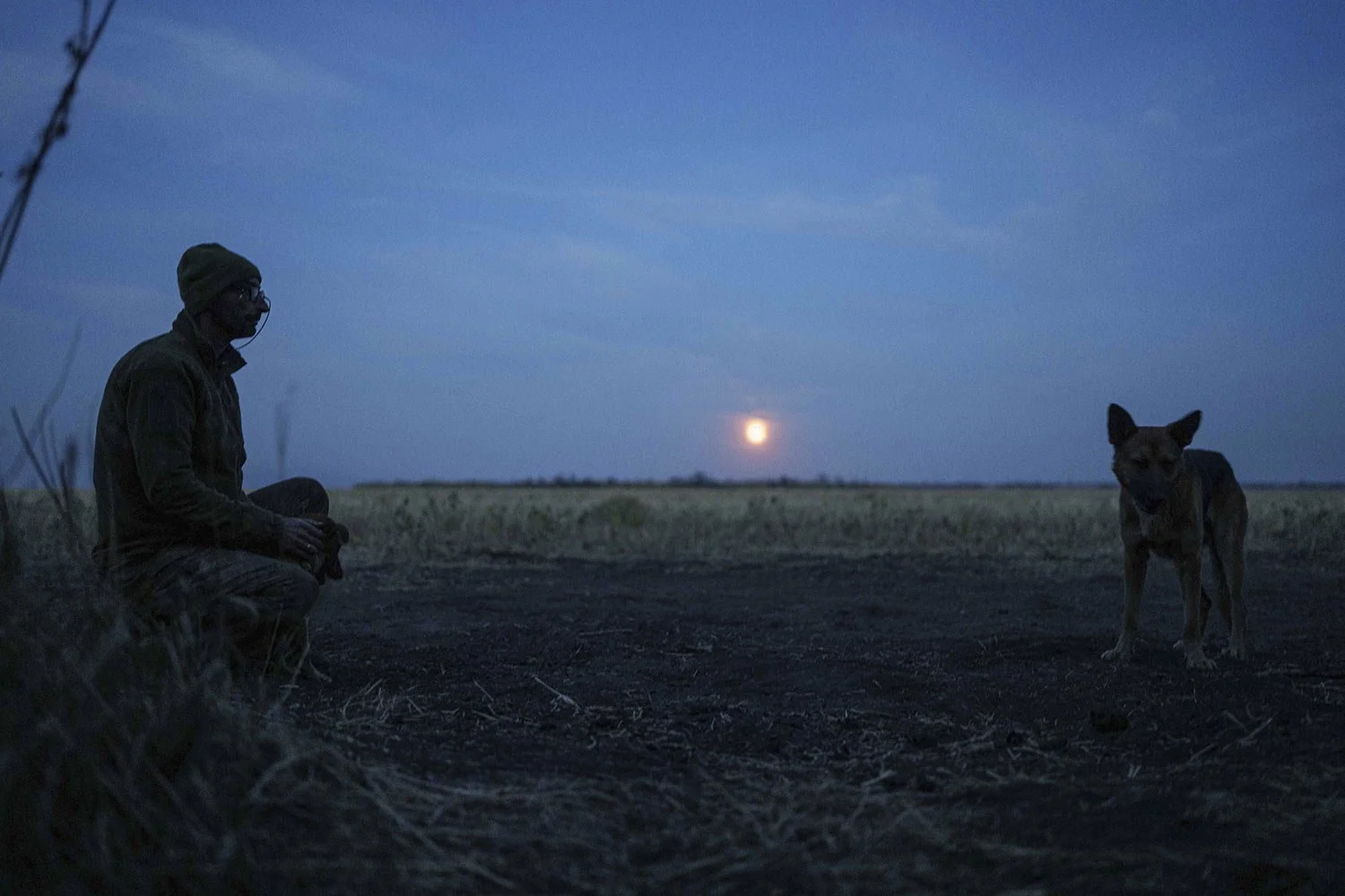  A Ukrainian serviceman of the 110th brigade pets dogs on his position at the frontline on Pokrovsk direction, Donetsk region, Ukraine, Wednesday, Sept. 18, 2024. (AP Photo/Evgeniy Maloletka) 