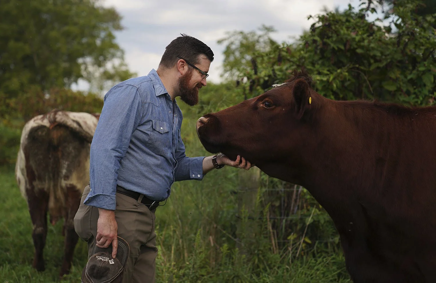 Farmer and Presbyterian pastor Lee Scott pets one of the cows on his family farm, Laurel Oak Farm, in Butler, Pa., on Friday, Sept. 6, 2024. (AP Photo/Jessie Wardarski) 