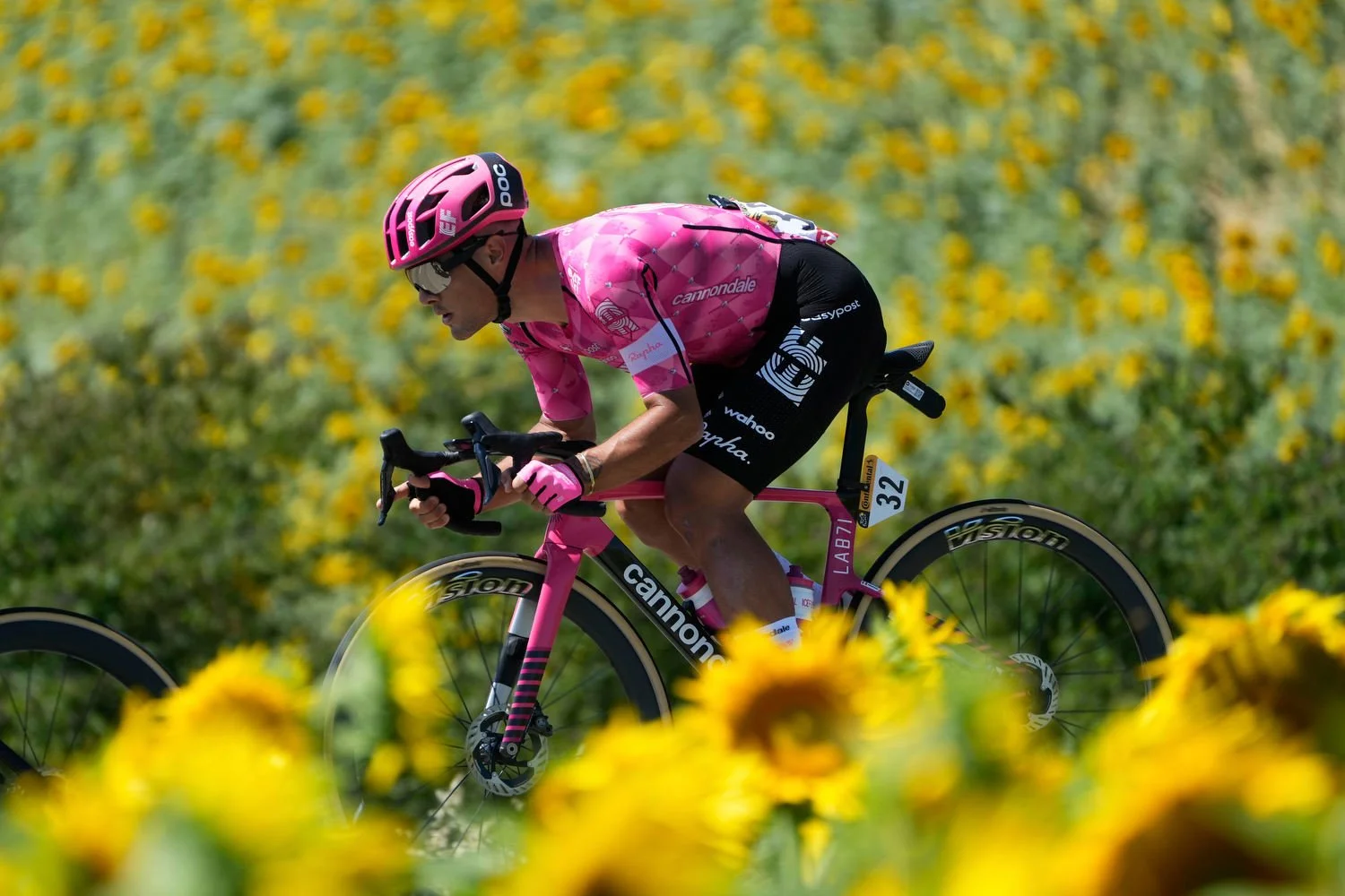 Italy's Vincenzo Albanese rides past a sunflower field during the 11th stage of the Tour de France cycling race in Toulouse, France, July 16, 2025. (AP Photo/Mosa'ab Elshamy)