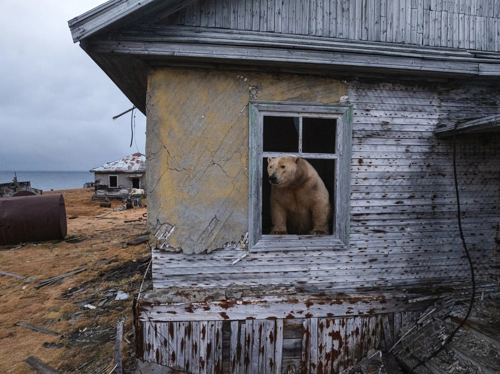 AP monthly photo contest