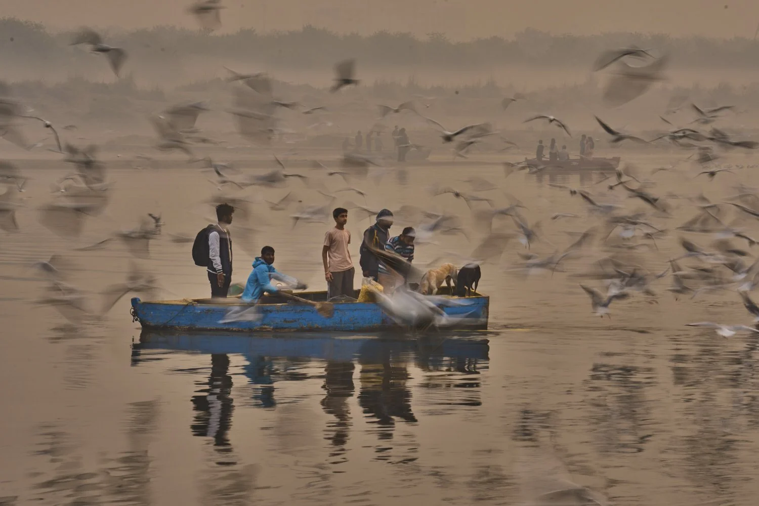  Migratory birds surround a boat as people feed them early in the morning near the banks of the river Yamuna in New Delhi, Sunday, Nov. 2, 2025. (AP Photo/ Rajesh Kumar Singh) 