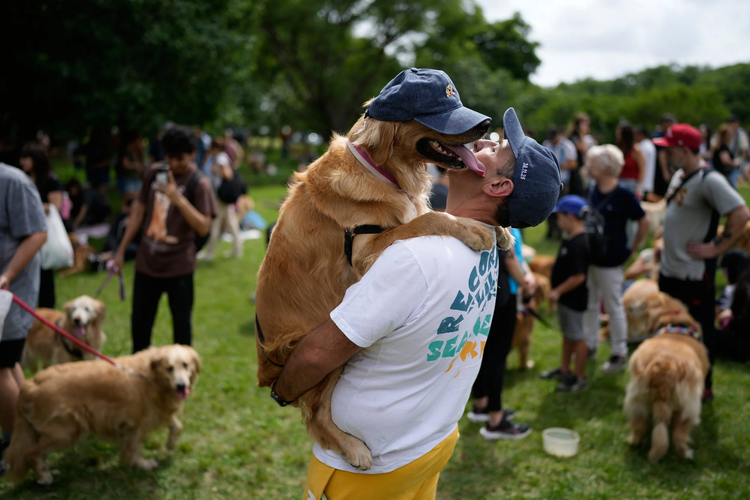  Maximiliano Rivero holds up his pet Manola as people try to set a world record of most Golden Retrievers gathered in a park in Buenos Aires, Argentina, Dec. 8, 2025. (AP Photo/Natacha Pisarenko) 