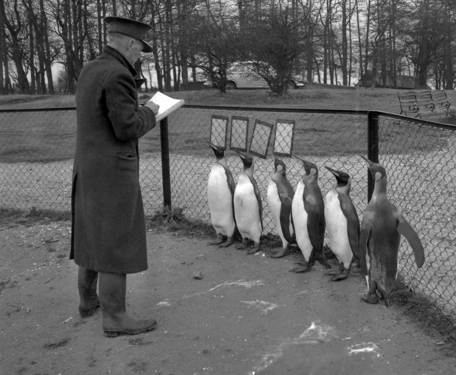 200th Anniversary of ZSL