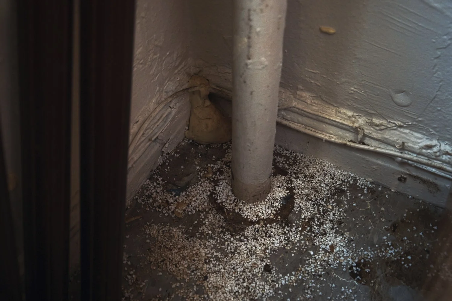  Foam sealant and rat poison are seen around a pipe inside  Marina Quiroz’s home in a  Bronx apartment building where tenants report maintenance issues, pest infestations on Tuesday, March 17, 2026, in New York. (AP Photo/Andres Kudacki) 