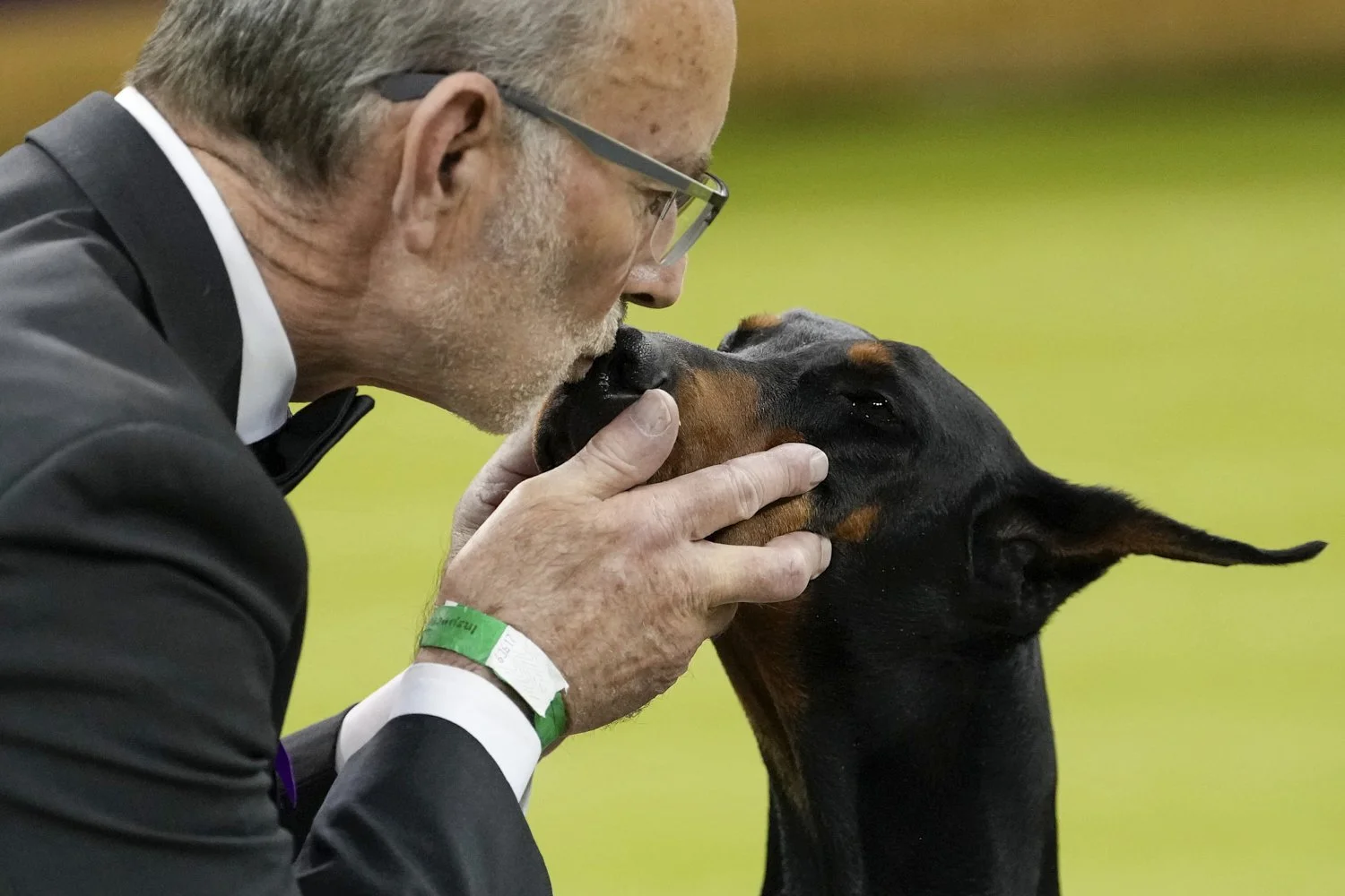  Penny, a doberman pinscher, receives a kiss from handler Andy Linton after winning Best in Show of the 150th Westminster Kennel Club Dog Show in New York, Feb. 3, 2026. (AP Photo/Yuki Iwamura) 