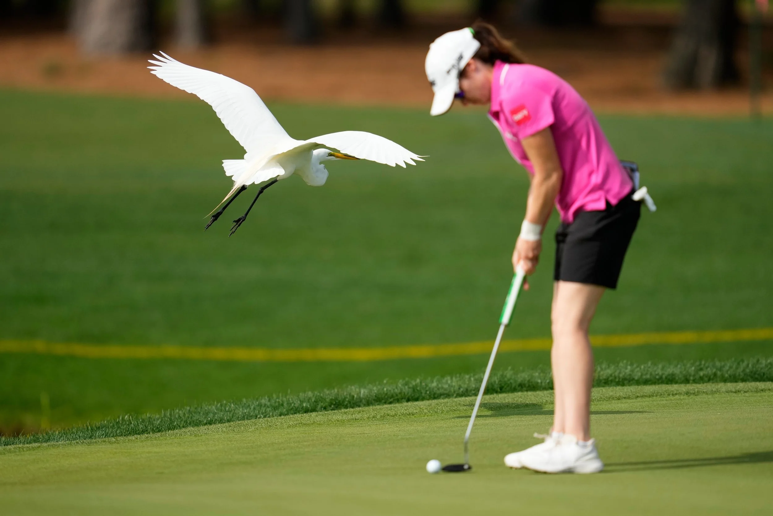 LPGA Tour Golf