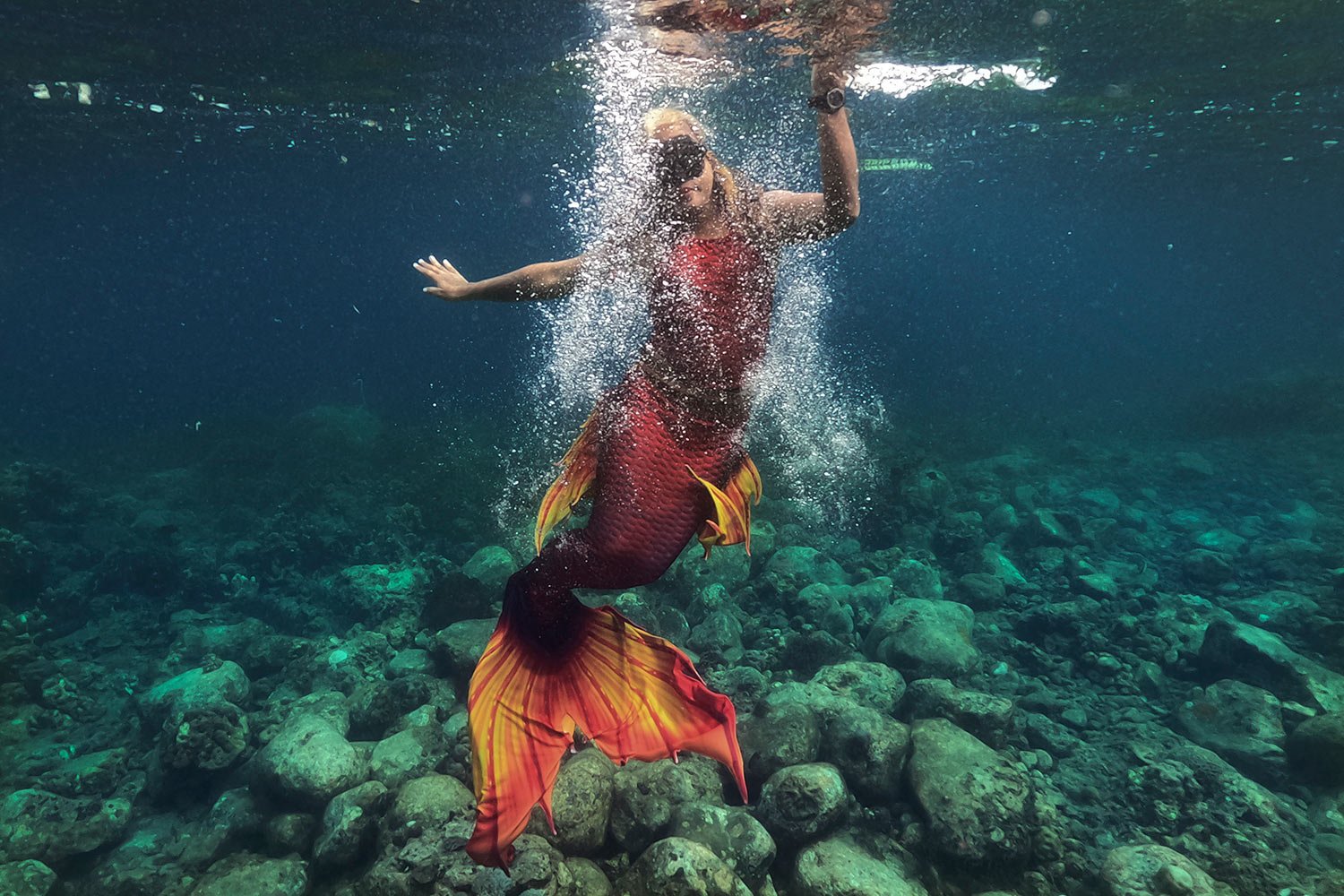 Fin-tastic! Growing 'mermaiding' subculture makes a splash — AP Photos