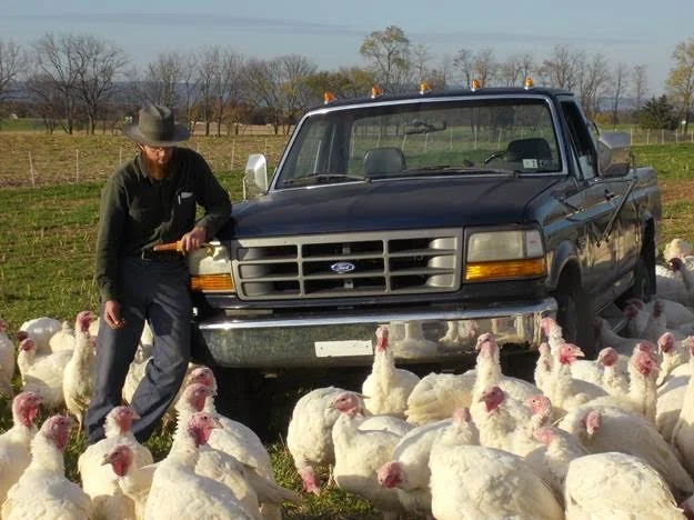 Clement Slothour and his flock