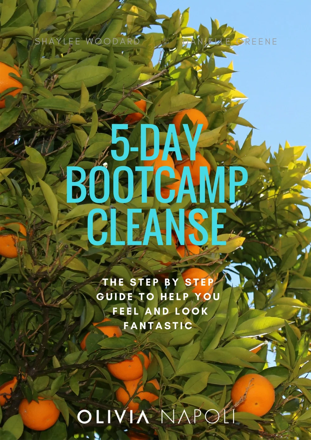 Learn — Long Island Nutritionist Long Island Health Coach Corporate