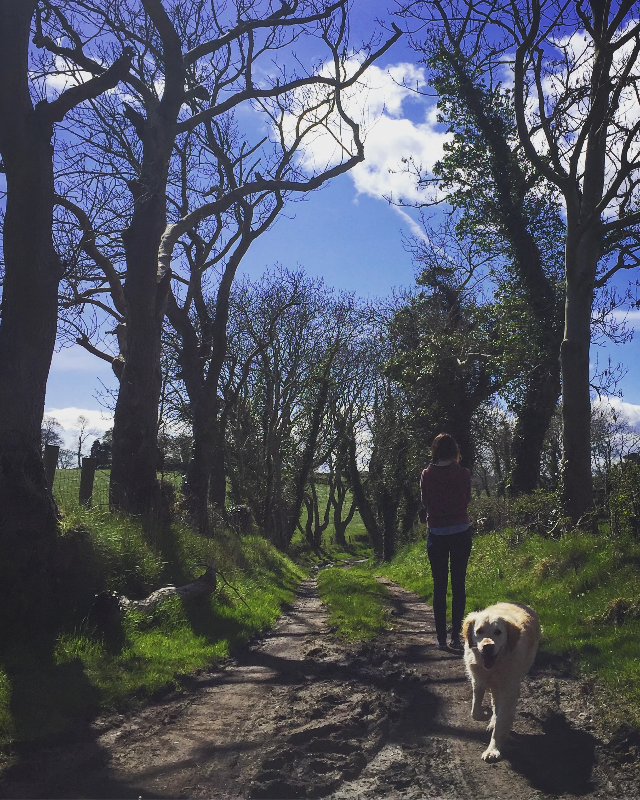 lane_country_helens_bay_to_crawfordsburn_roadtrip_coast_ni_explorer_niexplorer_northern_ireland_blog.jpg