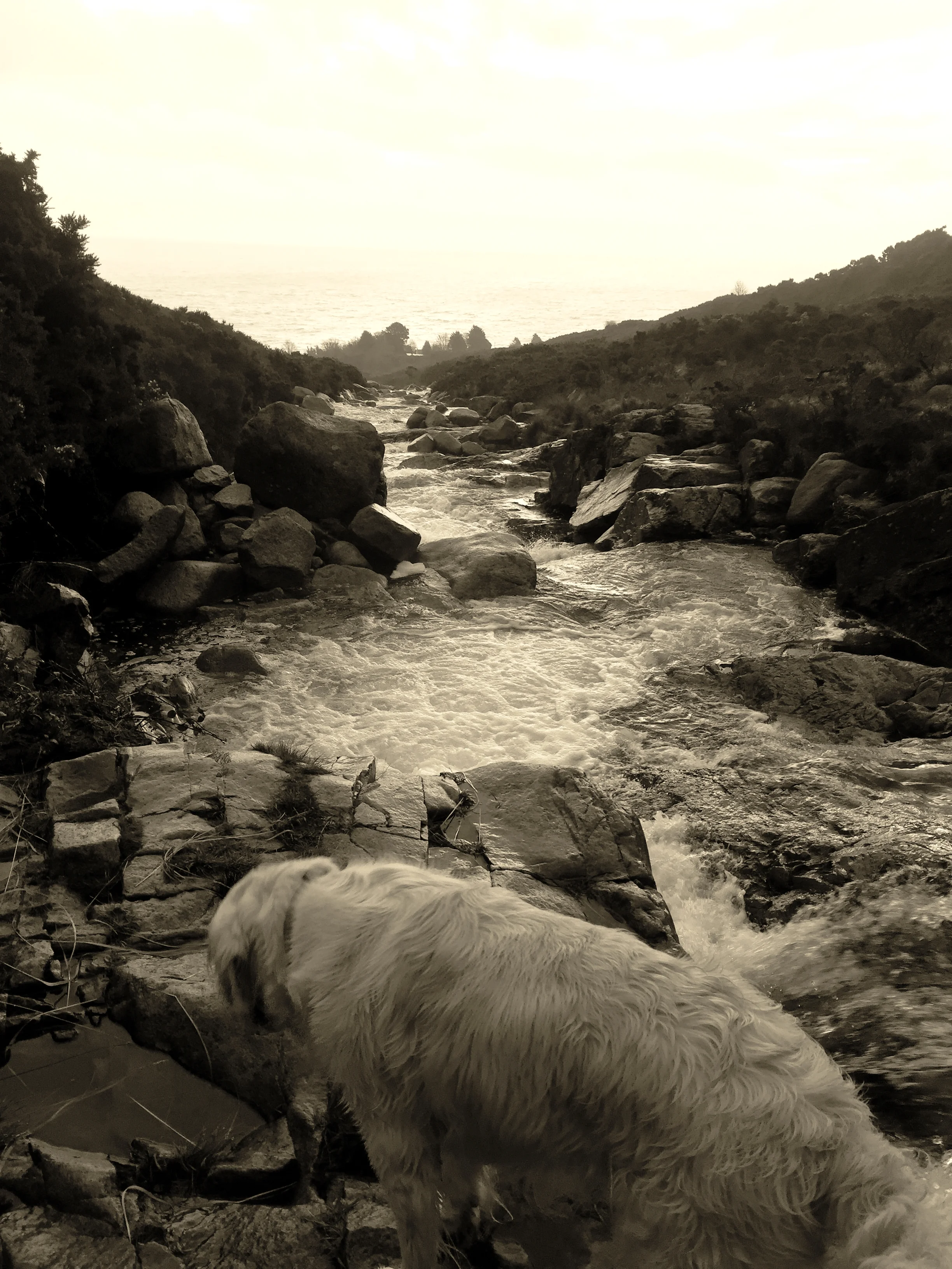 dog_river_bw_slieve_donard_newcastle_tollymore_mourne_mountains_ni_explorer_niexplorer_northern_ireland_blog.jpg