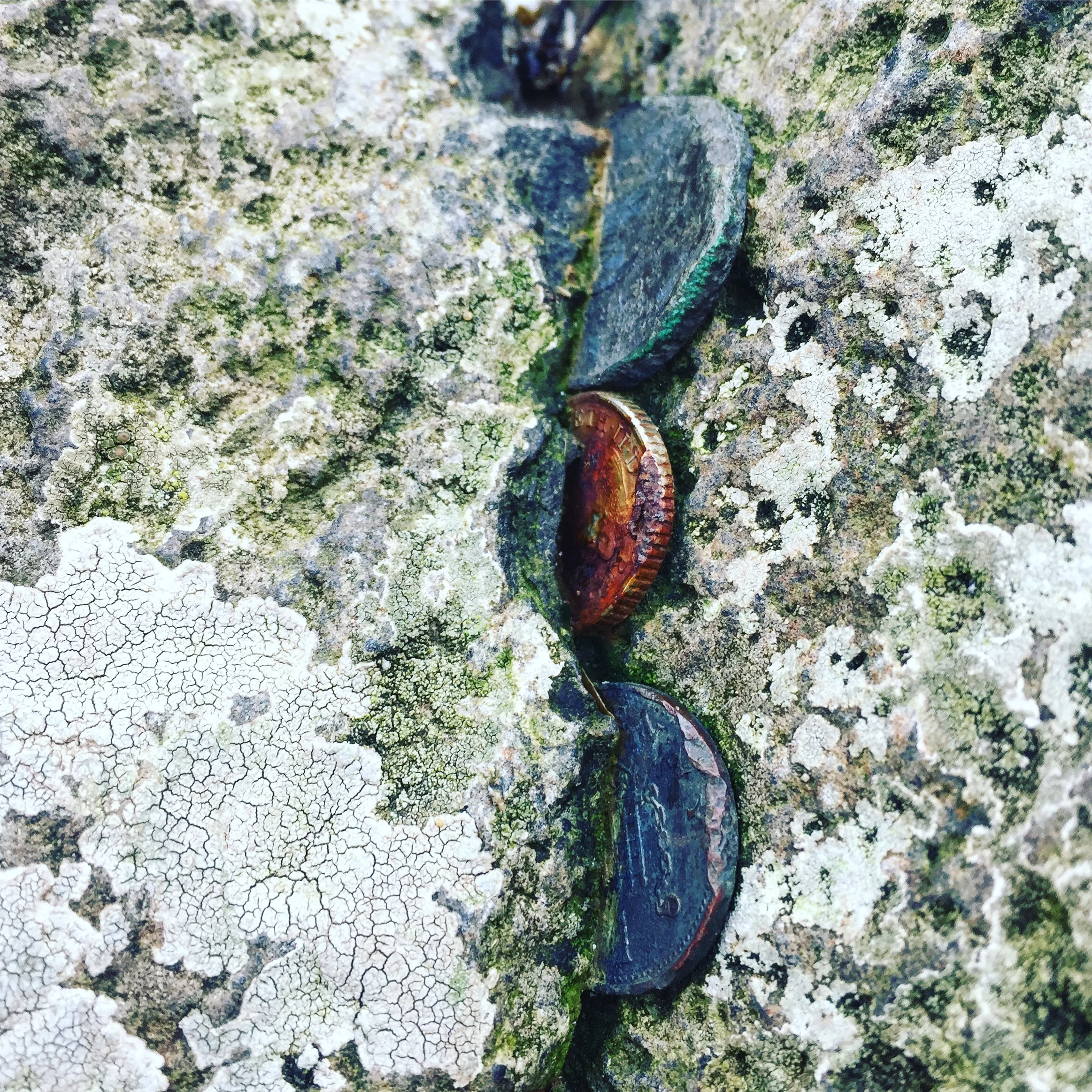 giants_causeway_coast_niexplorer_niexplorer_northern_ireland_travel_culture_blog